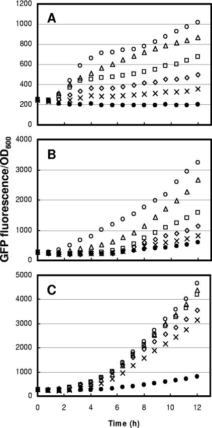 FIG. 2.