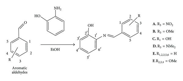 Scheme 1