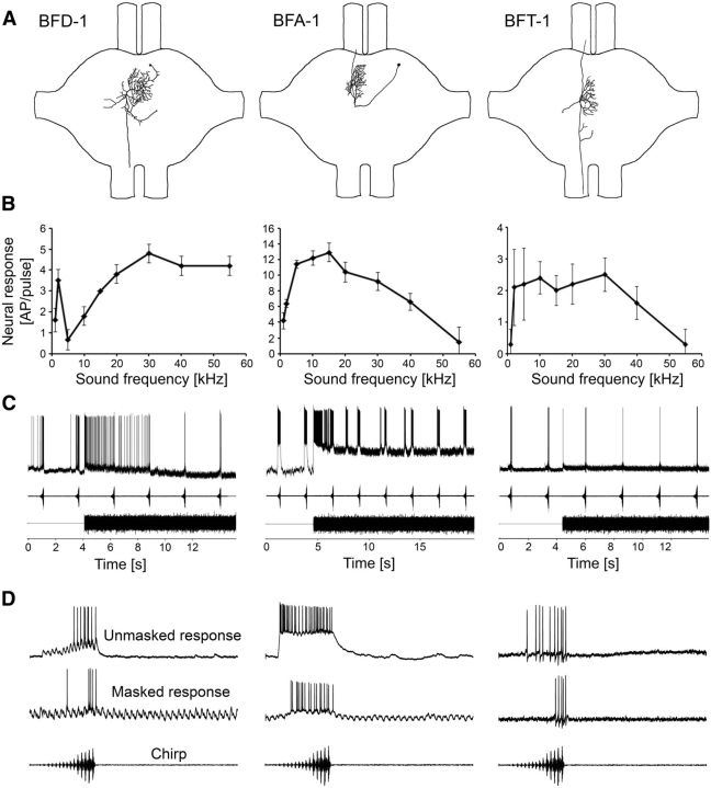 Figure 5.