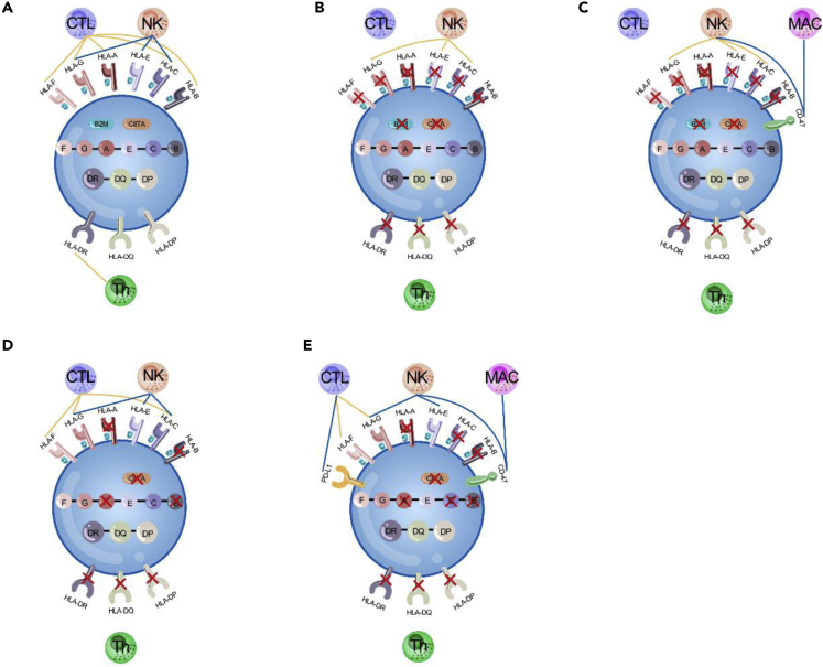 Figure 2