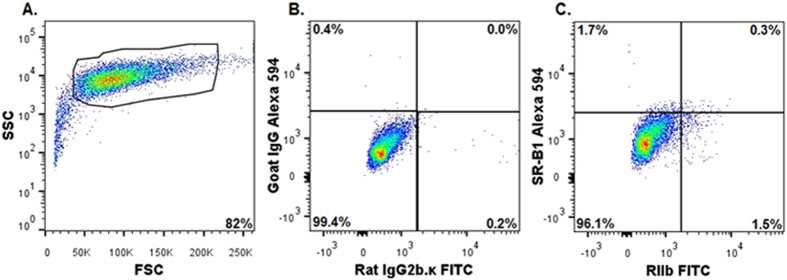 Figure 6