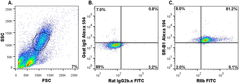 Figure 5