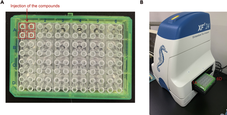 Figure 2