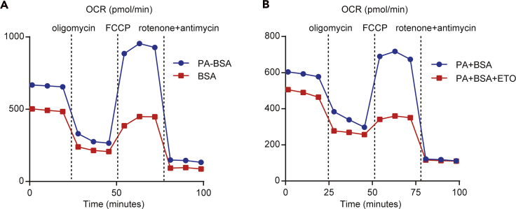 Figure 6