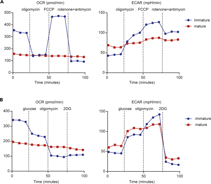 Figure 5