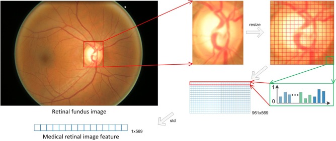 Figure 2