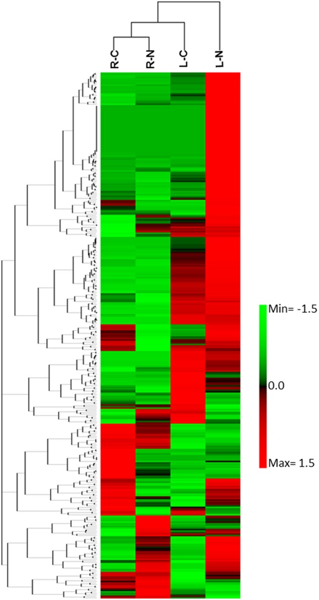 Figure 7