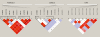 Figure 4-