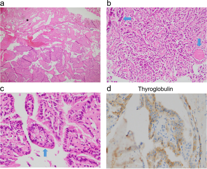 Fig. 8