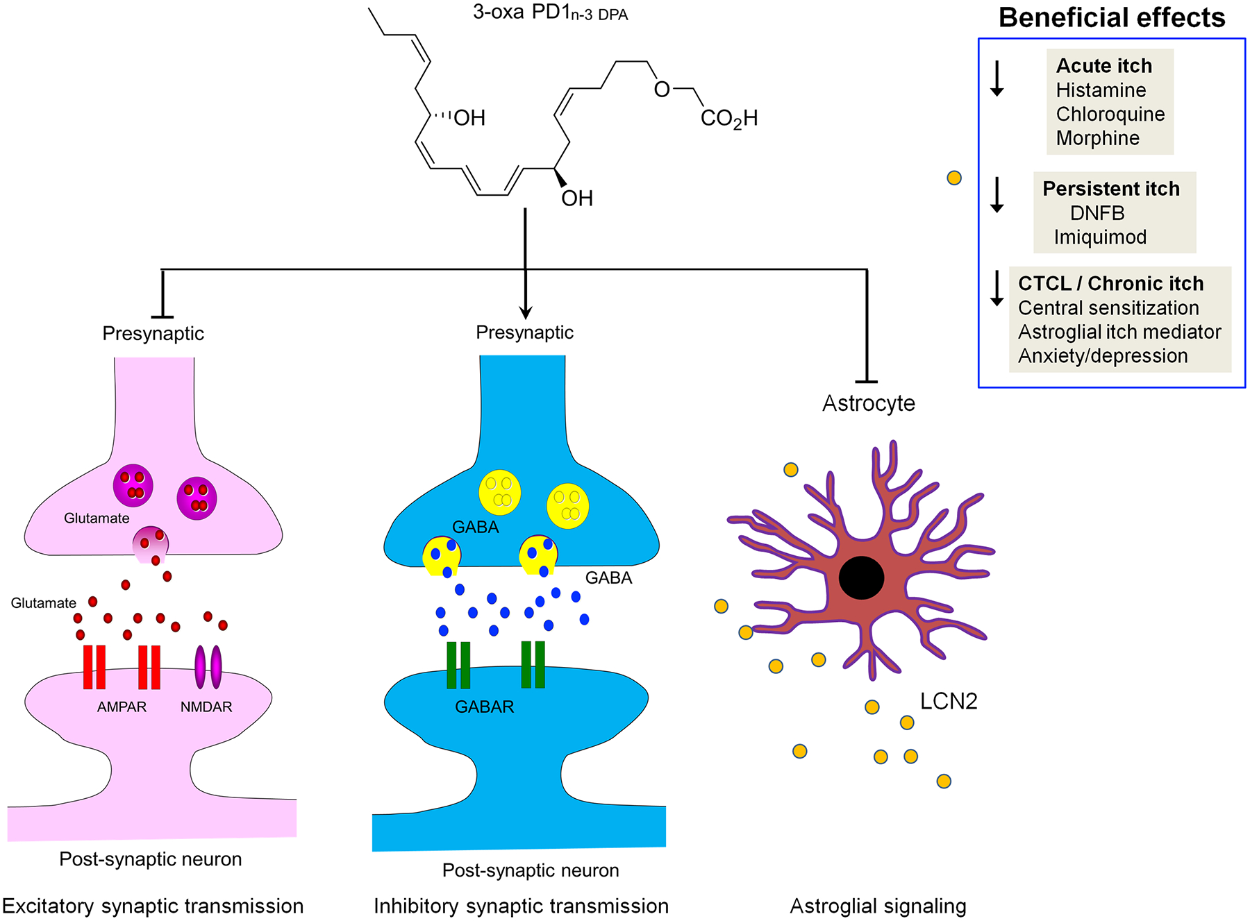 Figure 11.