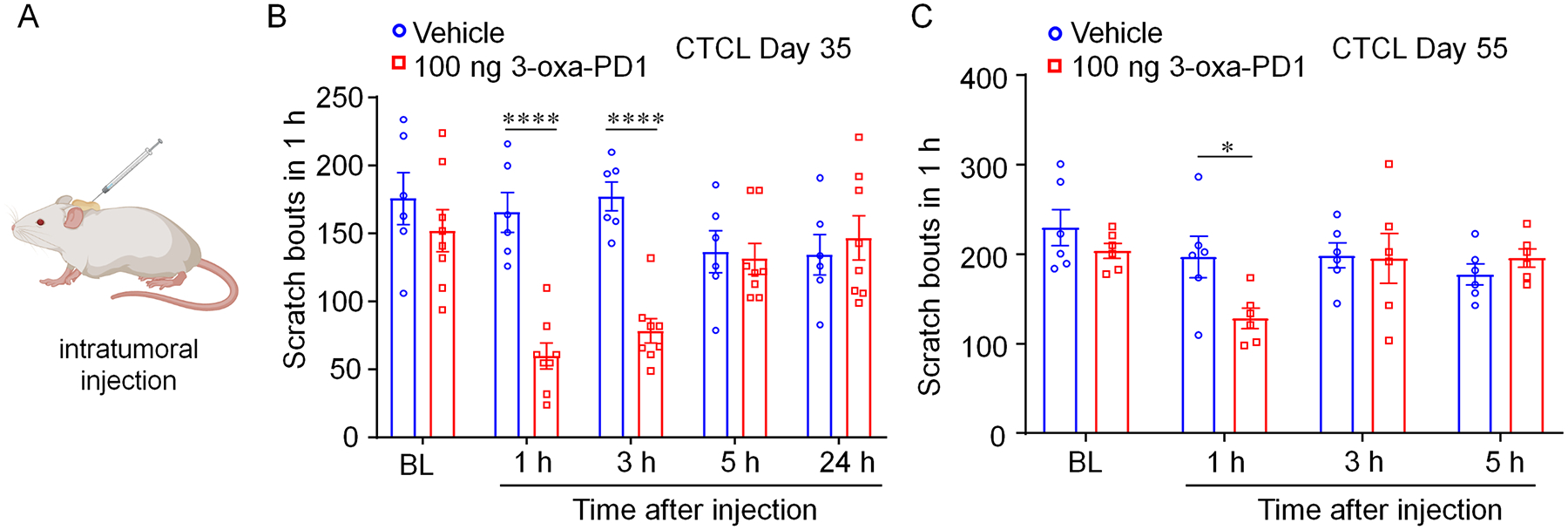 Figure 5: