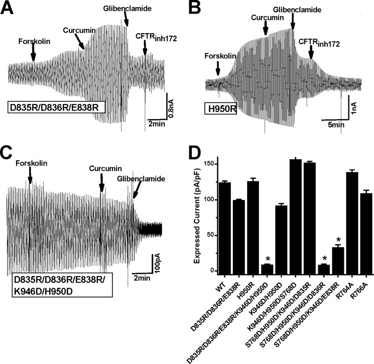 FIGURE 4.