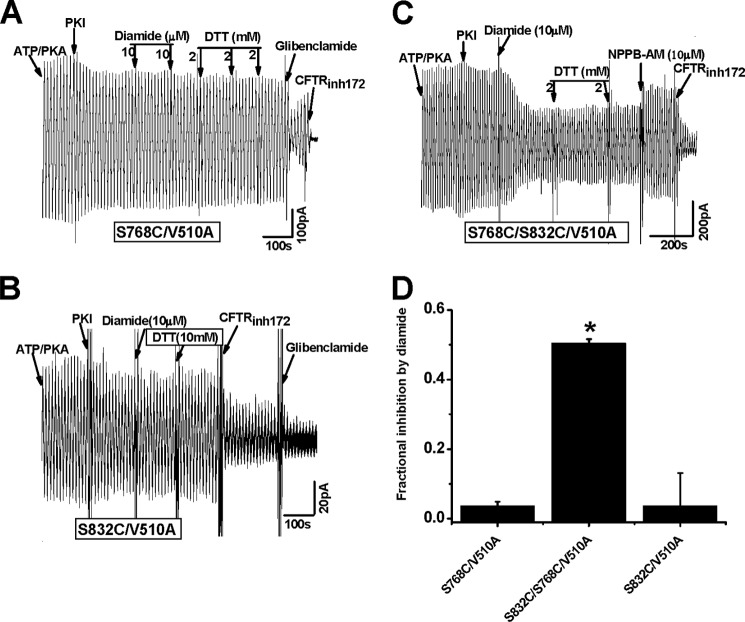 FIGURE 7.