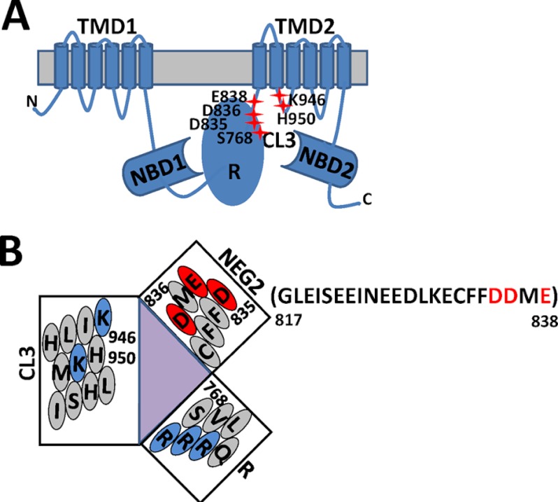 FIGURE 1.