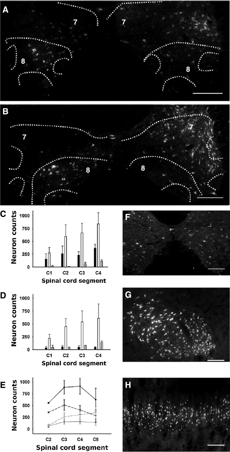 FIG. 9.