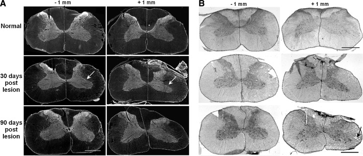 FIG. 8.