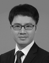 graphic file with name ADMA-32-0-g010.gif