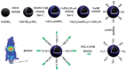 Figure 40