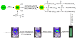 Figure 38
