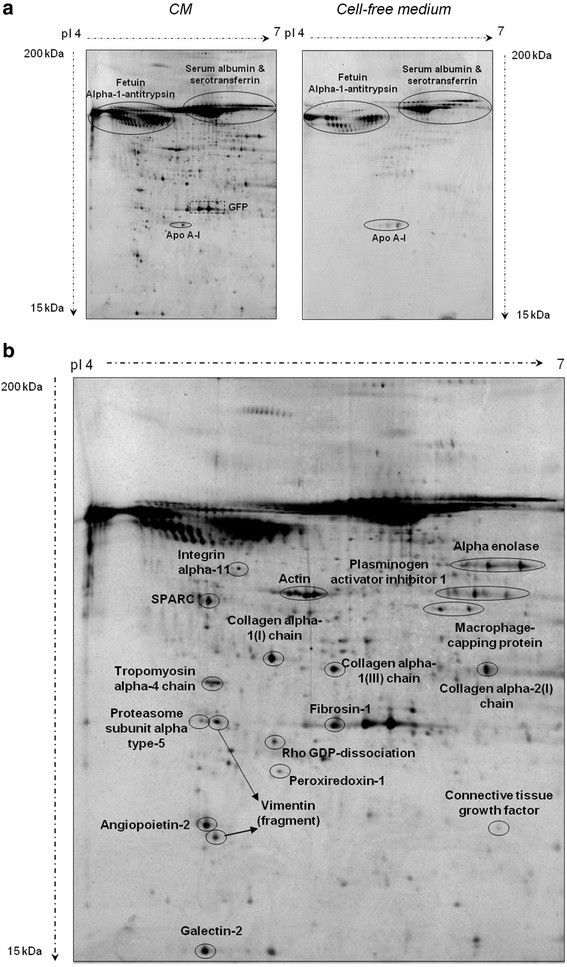 Fig. 8