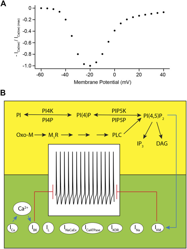 FIGURE 9