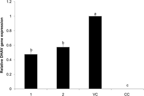 Fig. 5