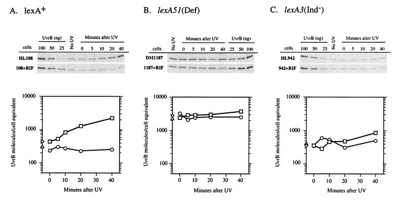 FIG. 8