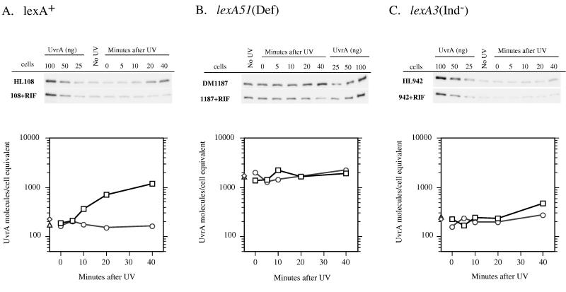 FIG. 7