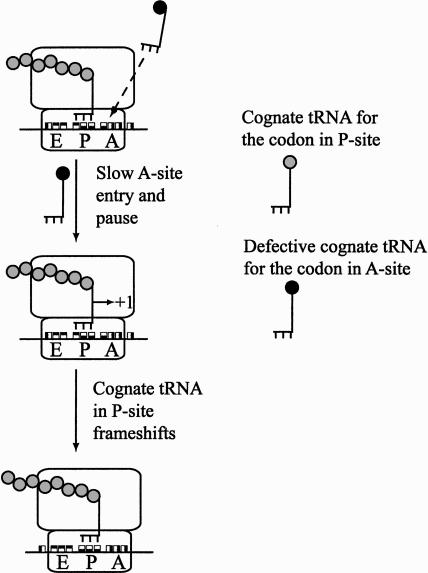 FIGURE 1.