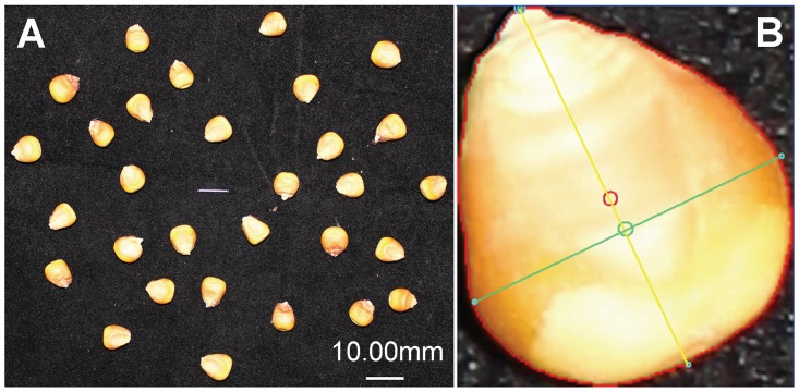 Fig 3