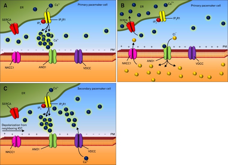 Figure 3.