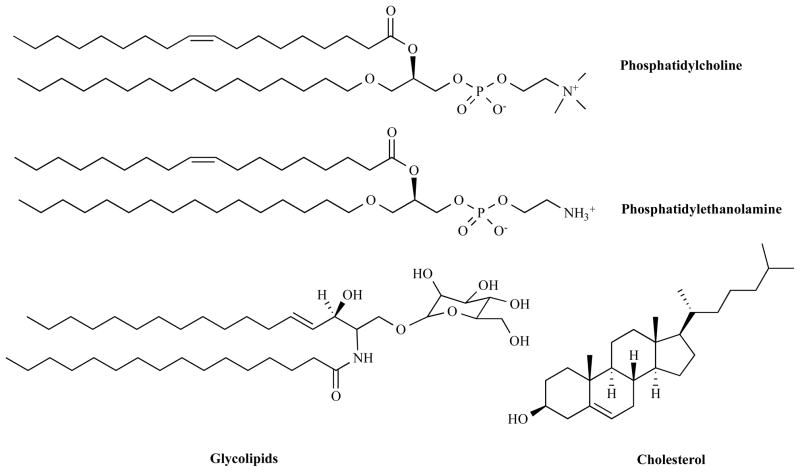 Scheme 4