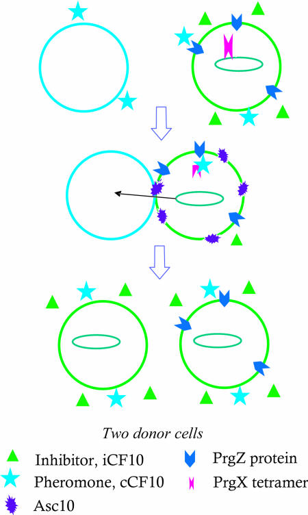 Fig. 1.