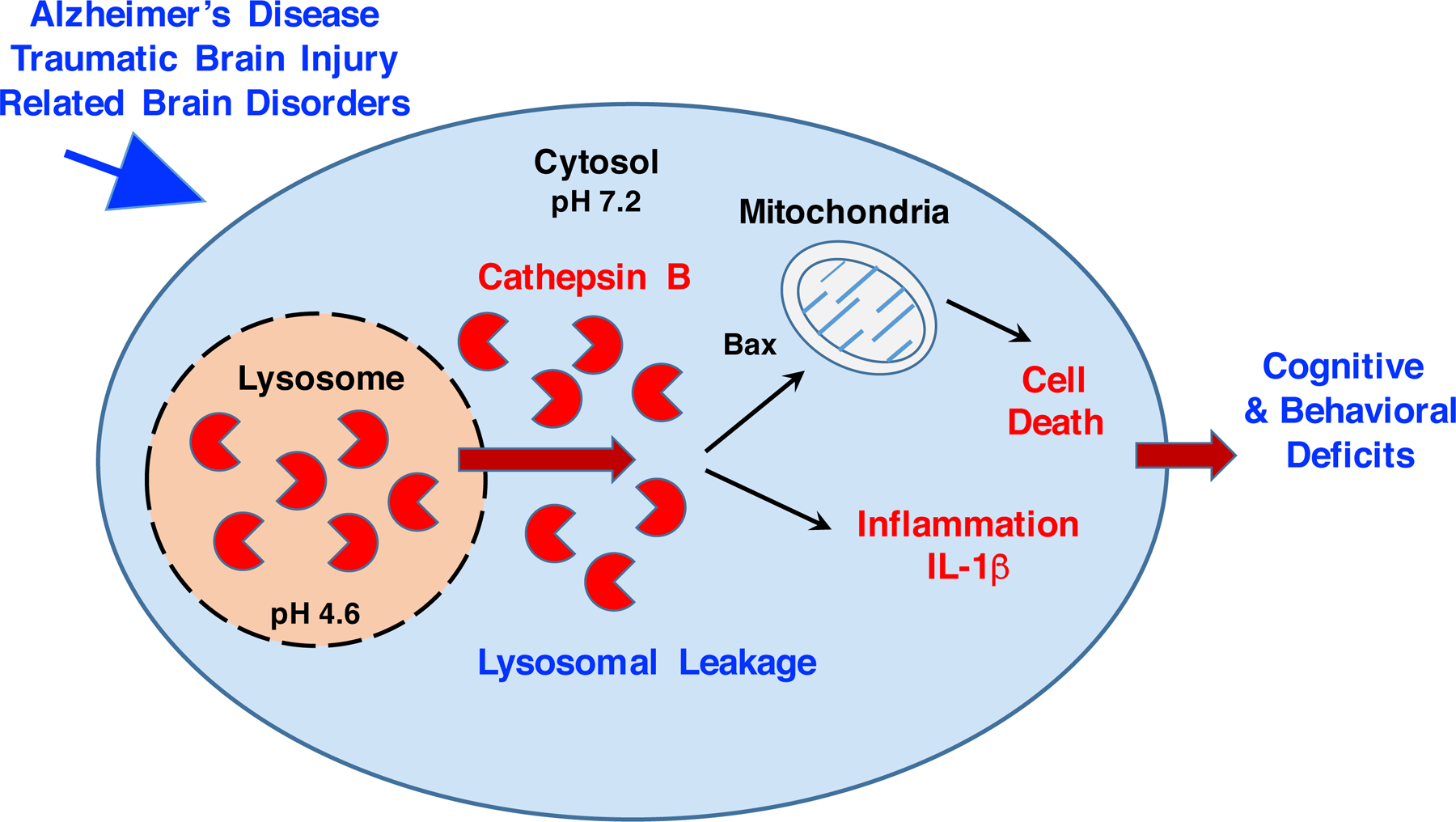 Figure 6.