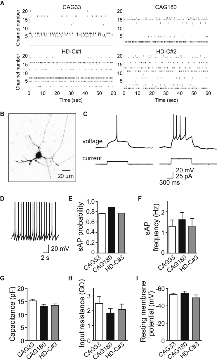 Figure 4