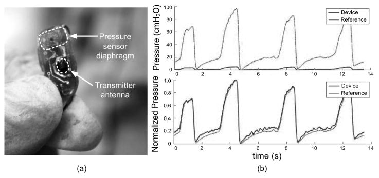 Fig. 10