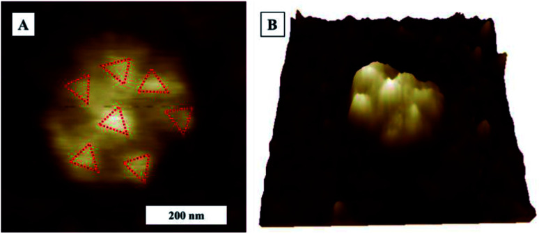 Fig. 12