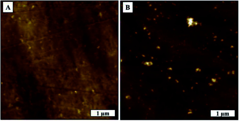 Fig. 7