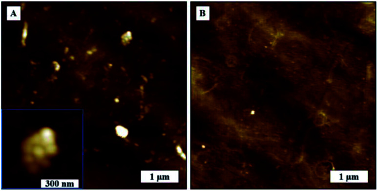 Fig. 10