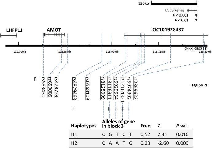 Fig 1