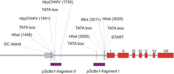 Fig 5