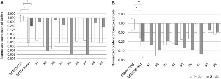 Fig 4