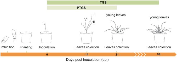 Fig 10