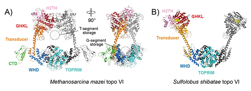 Figure 6