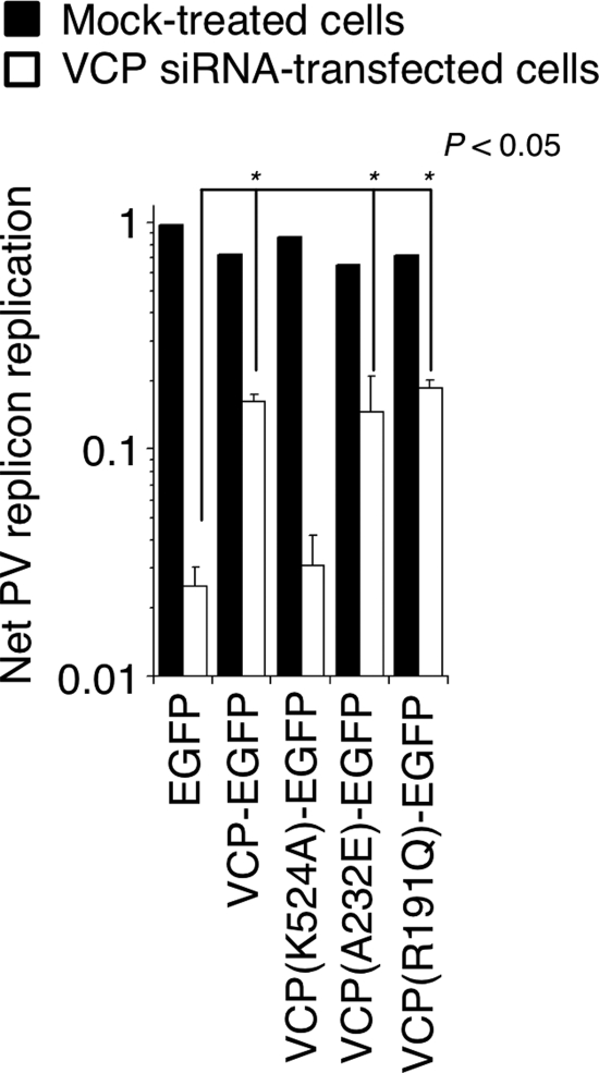 Fig 5