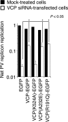 Fig 5