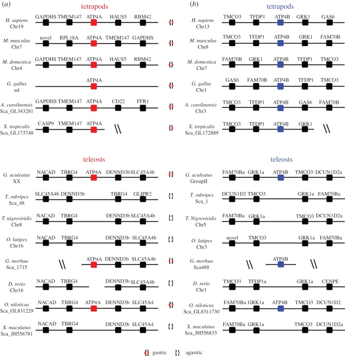 Figure 3.