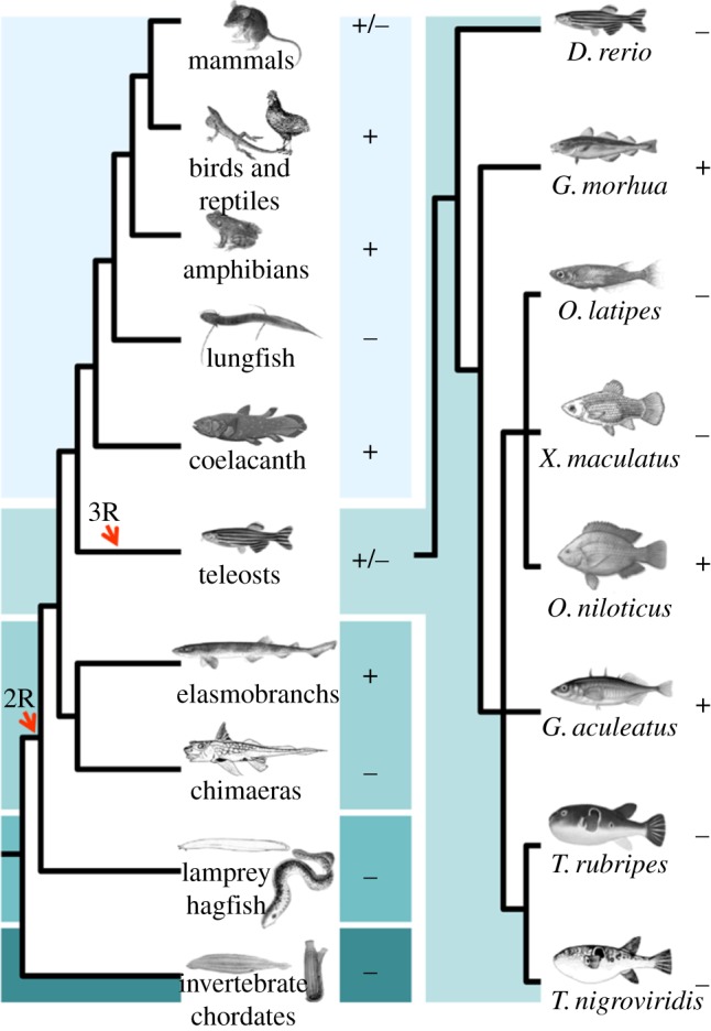 Figure 1.