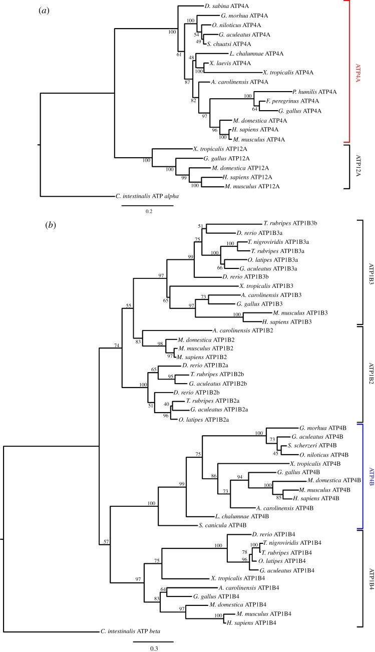 Figure 2.