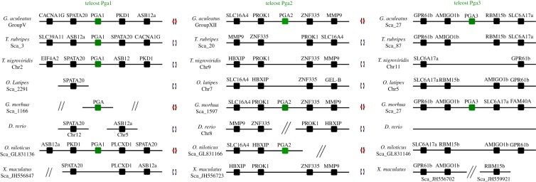 Figure 5.